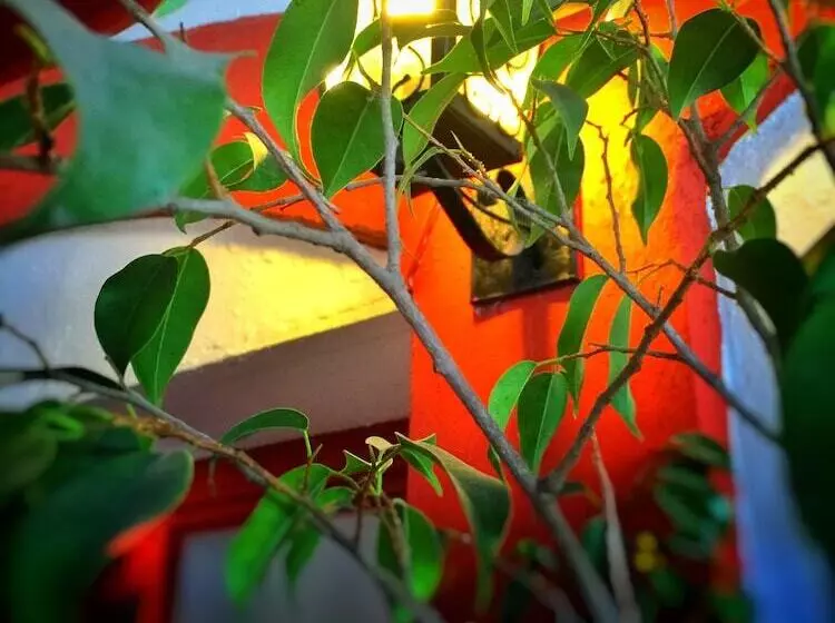 Primera Hacienda Hotel Boutique