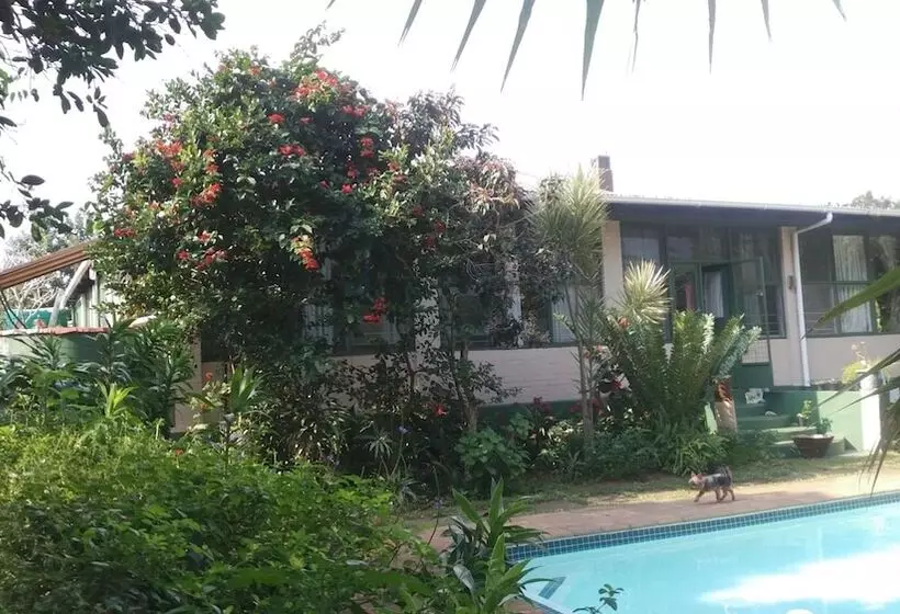 St Lucia Wilds