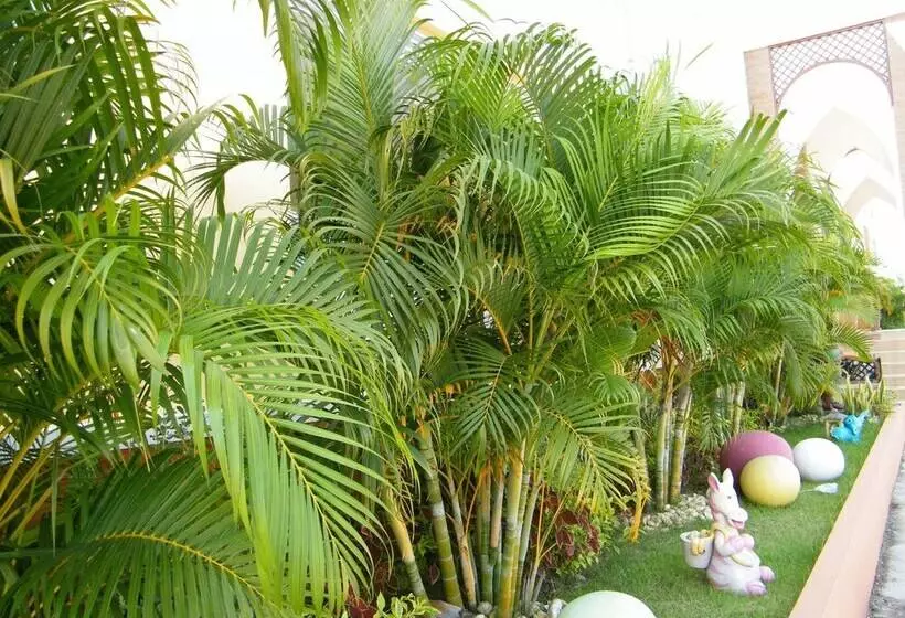 هتل Mild Sign Residence