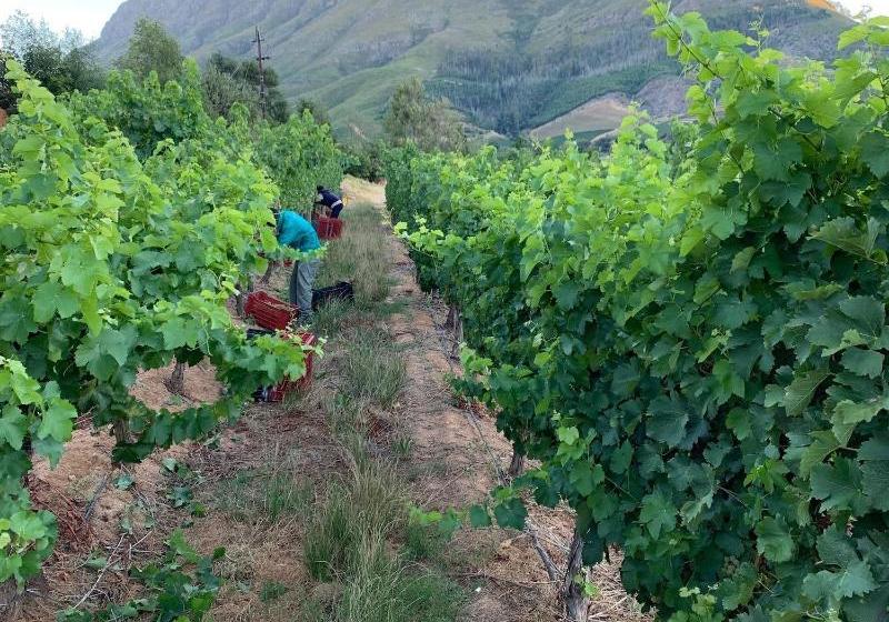 Le Pommier Wine Estate