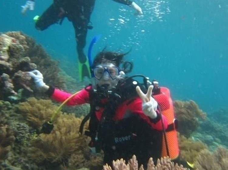 مبيت وإفطار Larantuka Beach Apartments