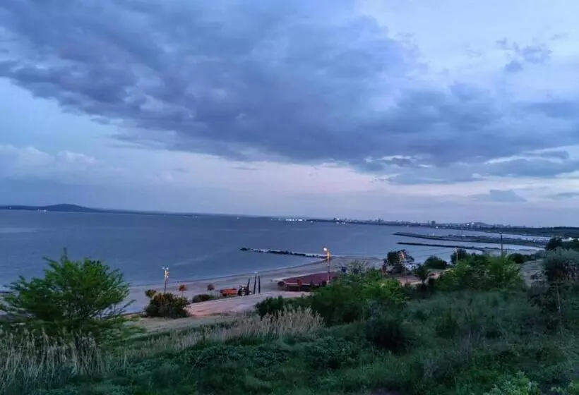 ホテル Palma