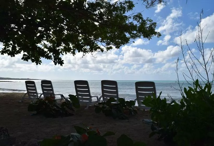هتل Auberge Du Rayon Vert