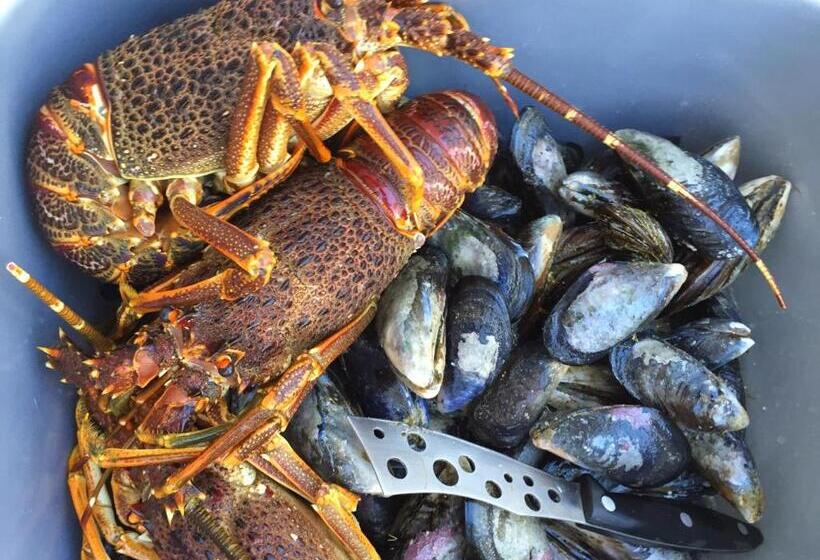 La Petite Baleine Oceanfront Luxury Villa