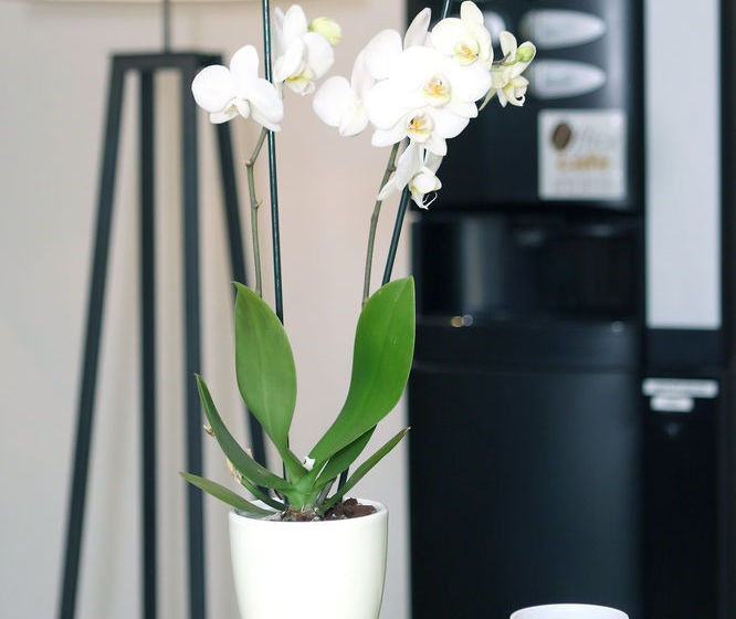 Apparteo Aixenprovence