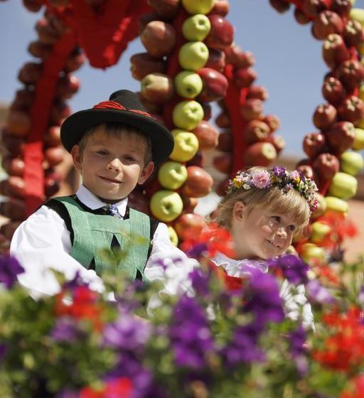 בית מלון כפרי Alpenhof