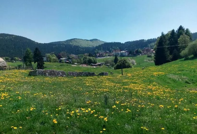 Hotelli Belvedere