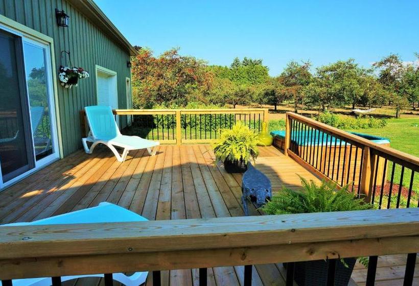 On The 6 Bed And Breakfast