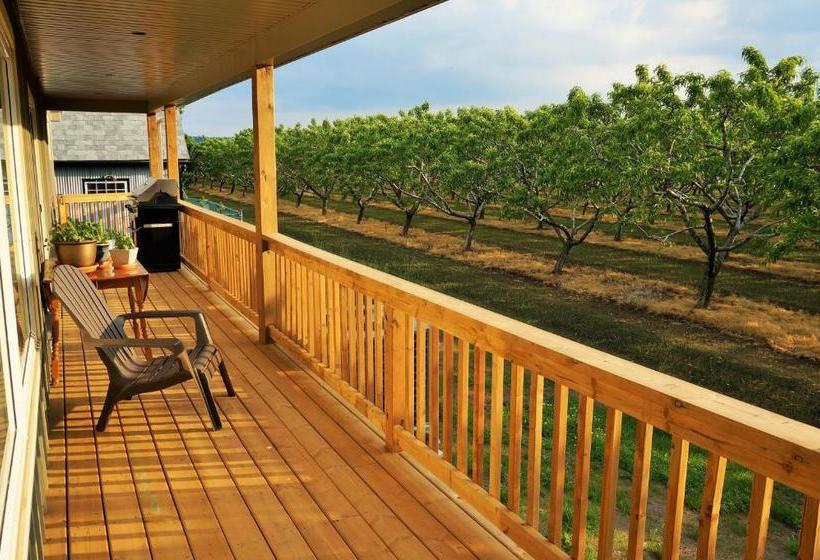 On The 6 Bed And Breakfast