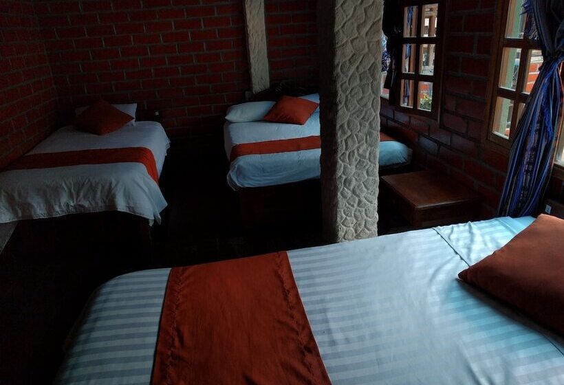 هتل Erupcion Backpackers Hostel