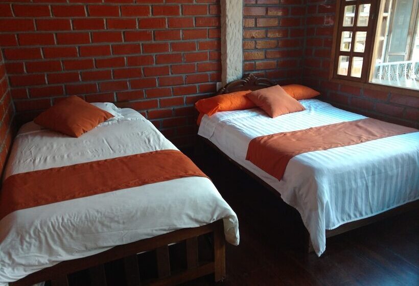 هتل Erupcion Backpackers Hostel