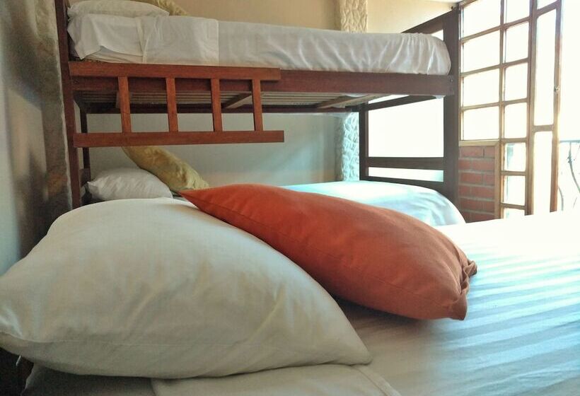 هتل Erupcion Backpackers Hostel