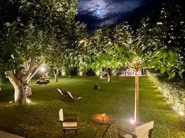 ホテル Bocca Al Lupo Villas