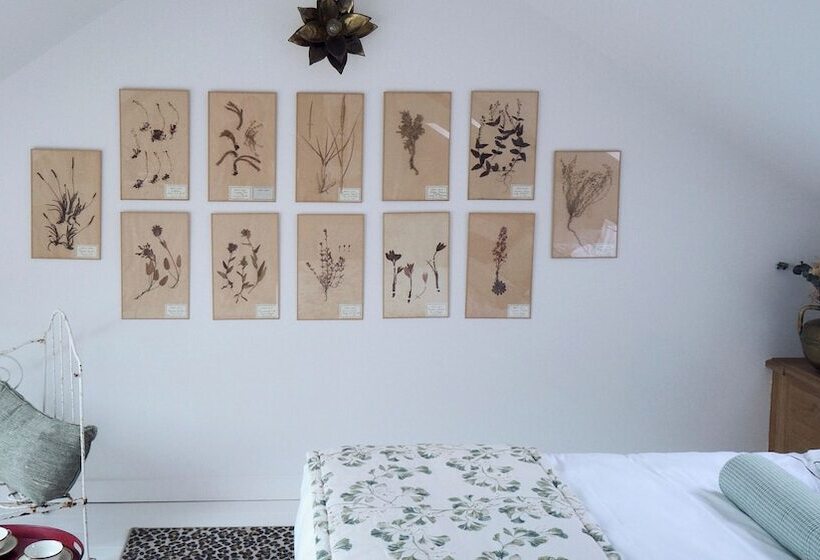 فندق Maison Mouche