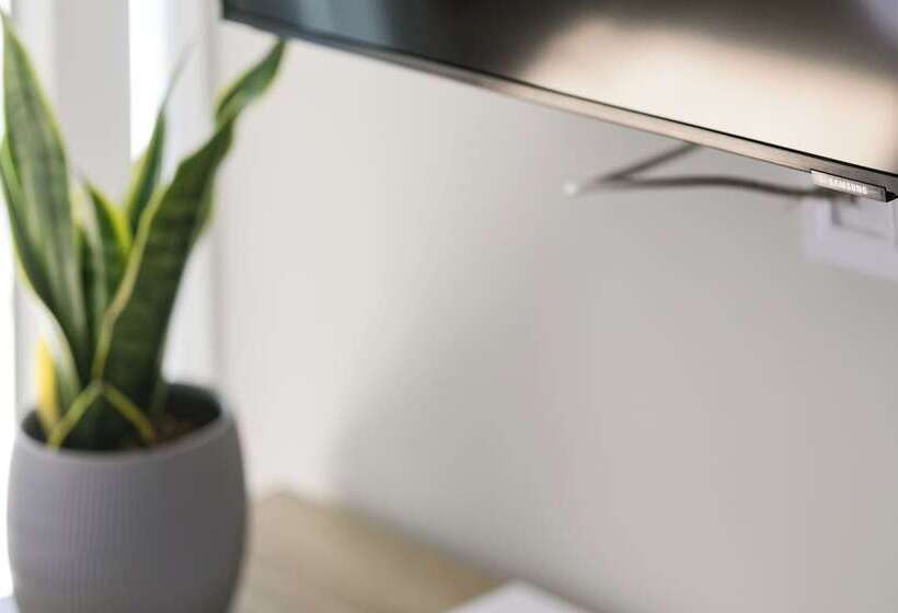 Comfort City Suites & Rooms