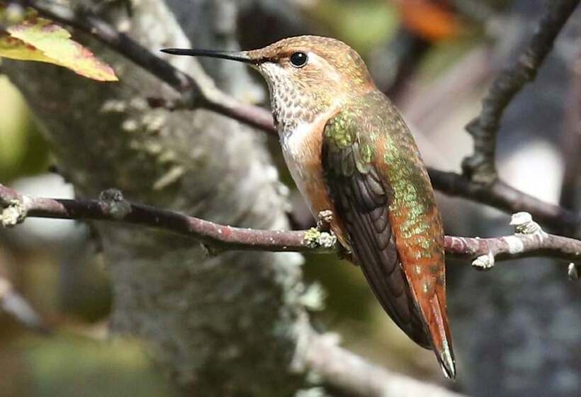 Crows Nest By Avantstay Accessible Home W/ Views