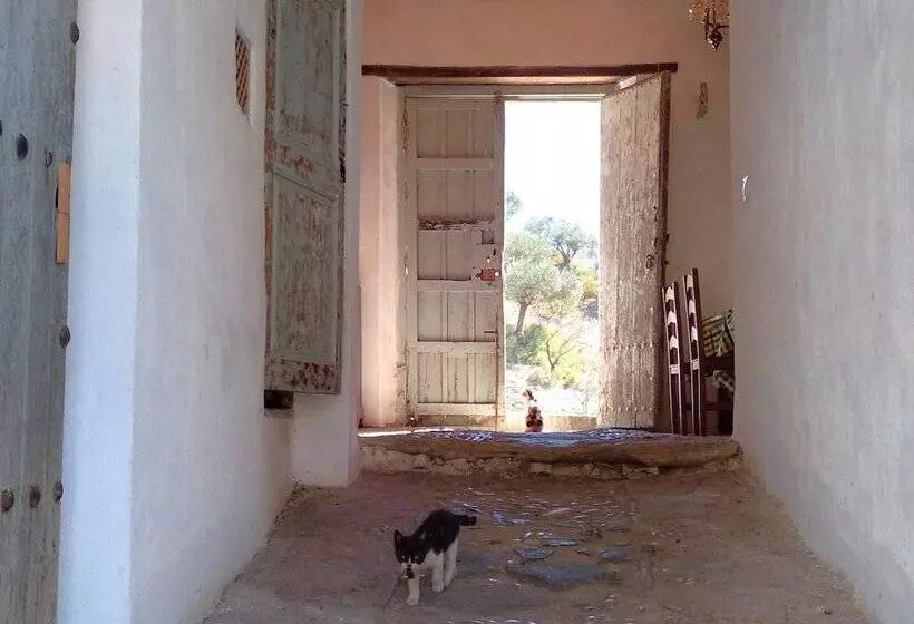 Andalusian Farmhouse For Workshops, Retreats Or Events