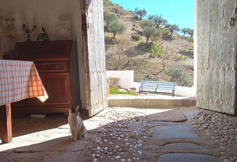 Andalusian Farmhouse For Workshops, Retreats Or Events