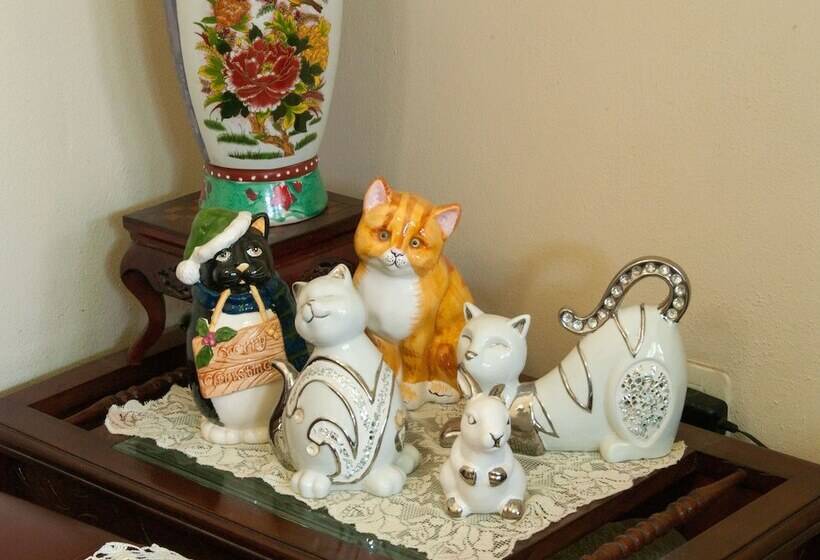 پانسیون Casa Anita