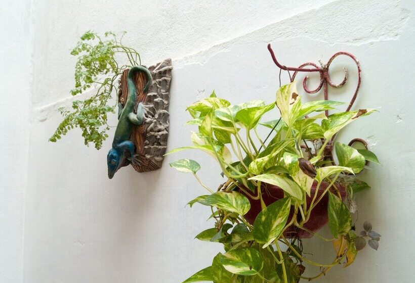 پانسیون Casa Anita