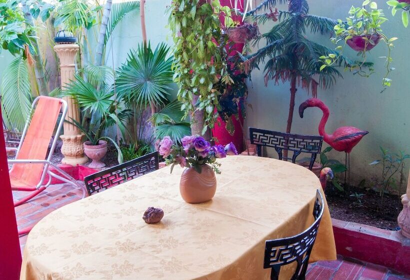 پانسیون Casa Anita