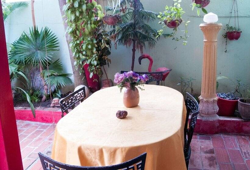 پانسیون Casa Anita