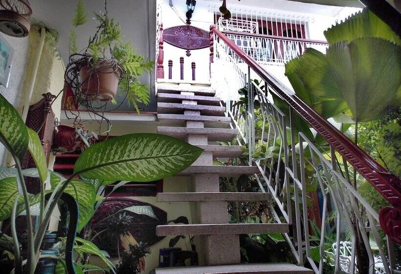 پانسیون Hostal Reyes Y Carolina