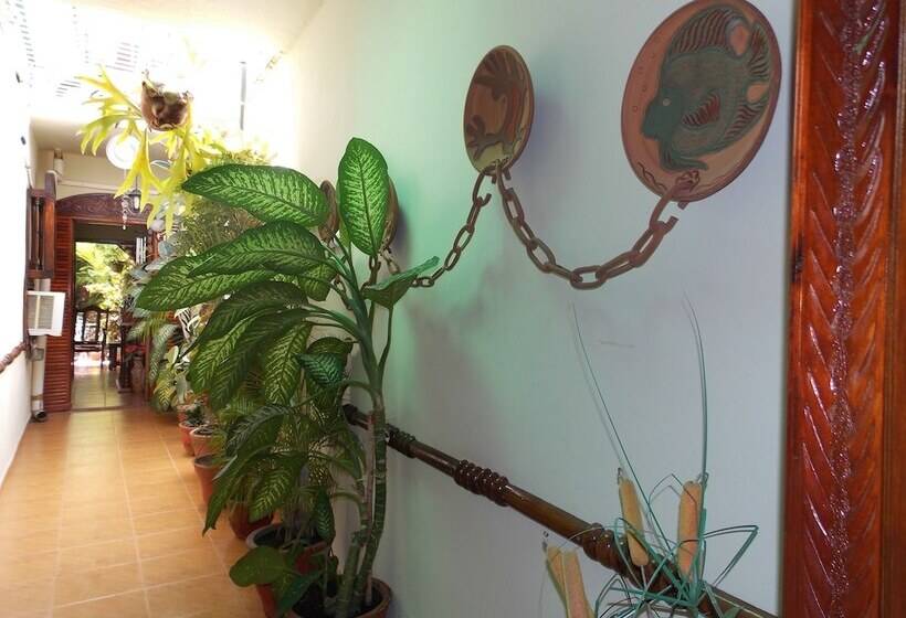 پانسیون Hostal Reyes Y Carolina