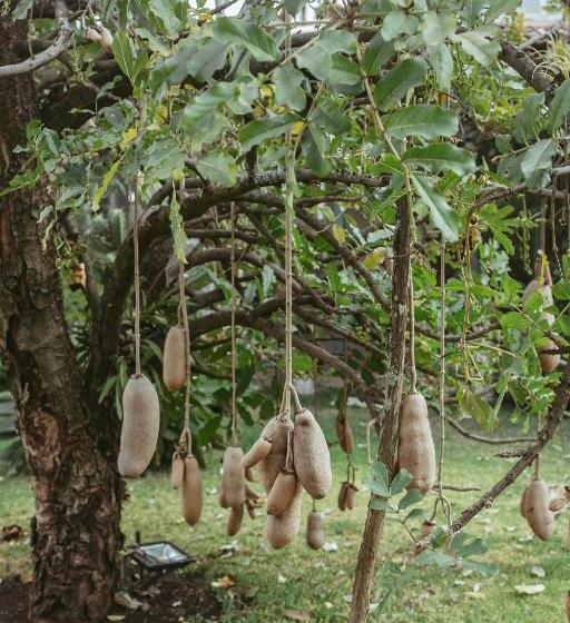 צימר Quinta Cielo   Hotel Boutique Y Restaurante