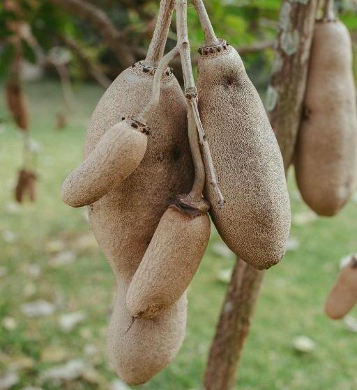 צימר Quinta Cielo   Hotel Boutique Y Restaurante