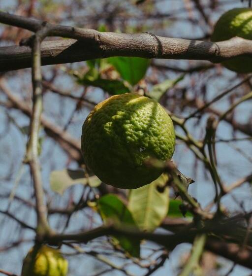 צימר Quinta Cielo   Hotel Boutique Y Restaurante