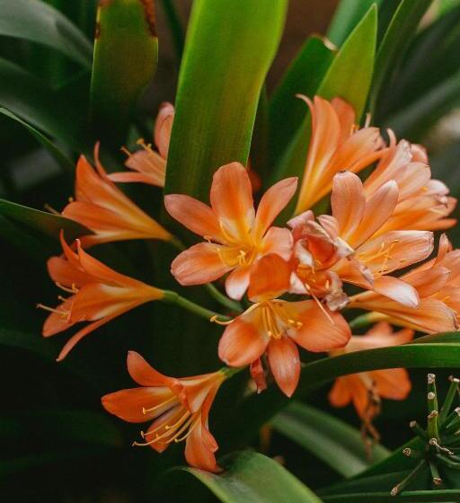 צימר Quinta Cielo   Hotel Boutique Y Restaurante