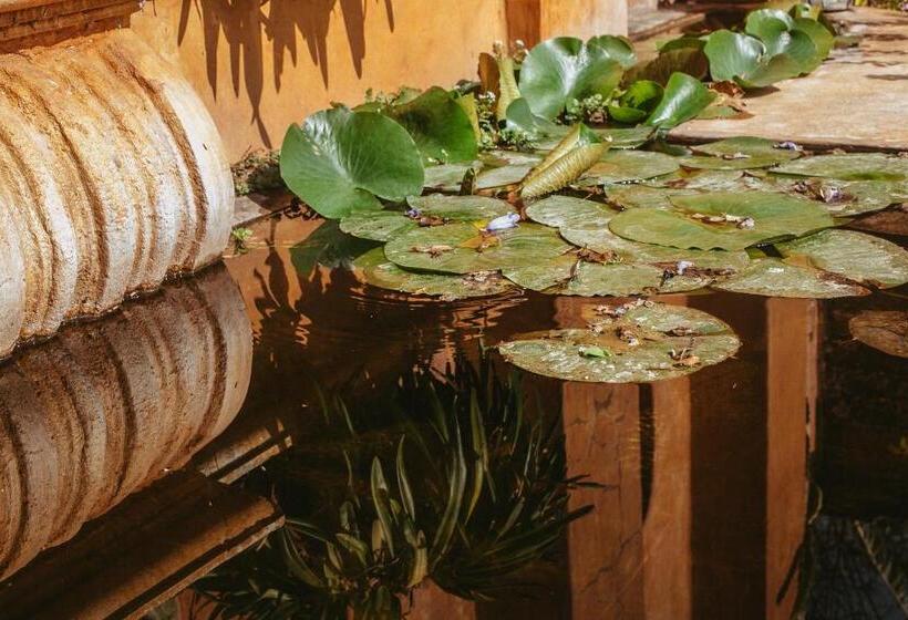 צימר Quinta Cielo   Hotel Boutique Y Restaurante