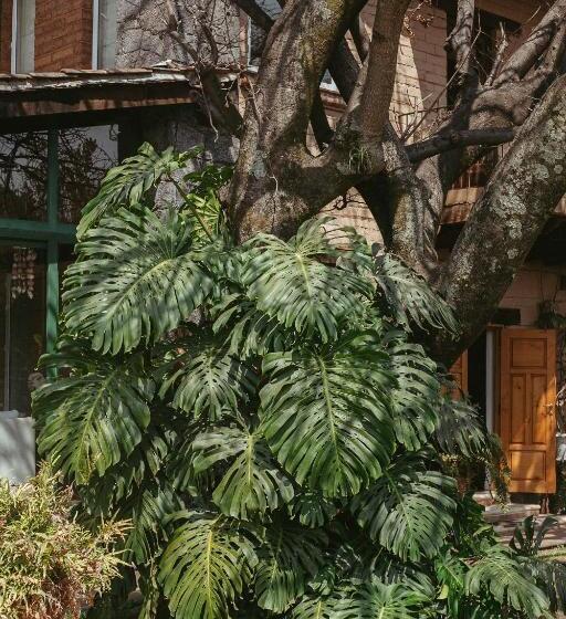 צימר Quinta Cielo   Hotel Boutique Y Restaurante