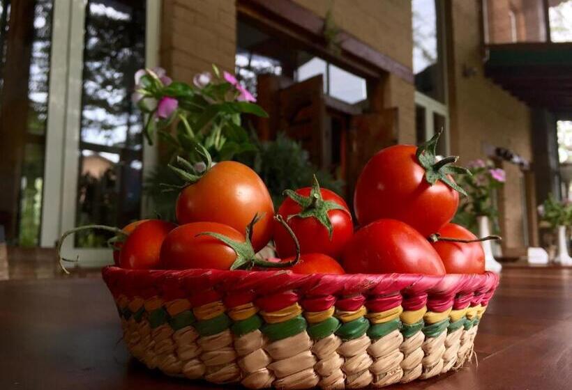 צימר Quinta Cielo   Hotel Boutique Y Restaurante