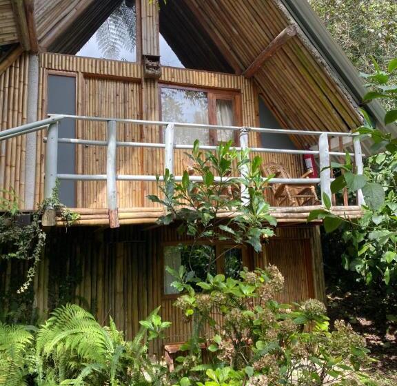 Отель Cabañas Aldea San Francisco De Asís