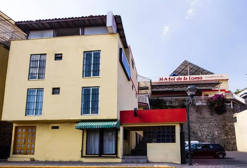 Hotel De La Loma