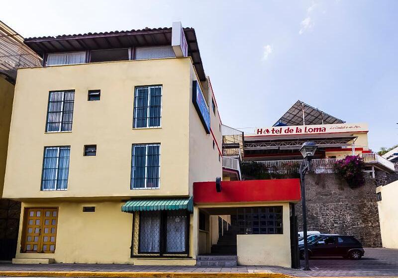 Hotel De La Loma