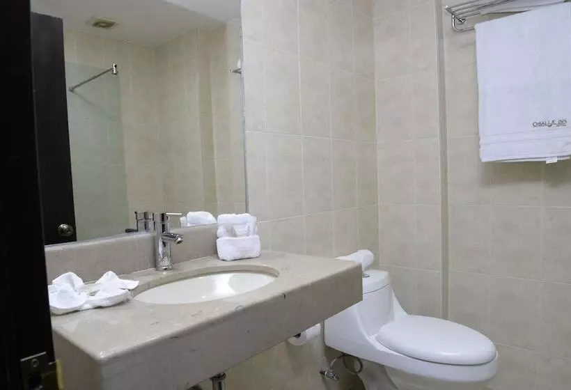 Hotelli Osalle Inn