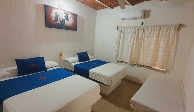 Отель Tropical Suite