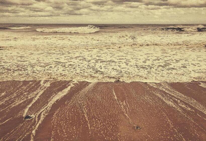 فندق على الطريق A1a Ocean Club