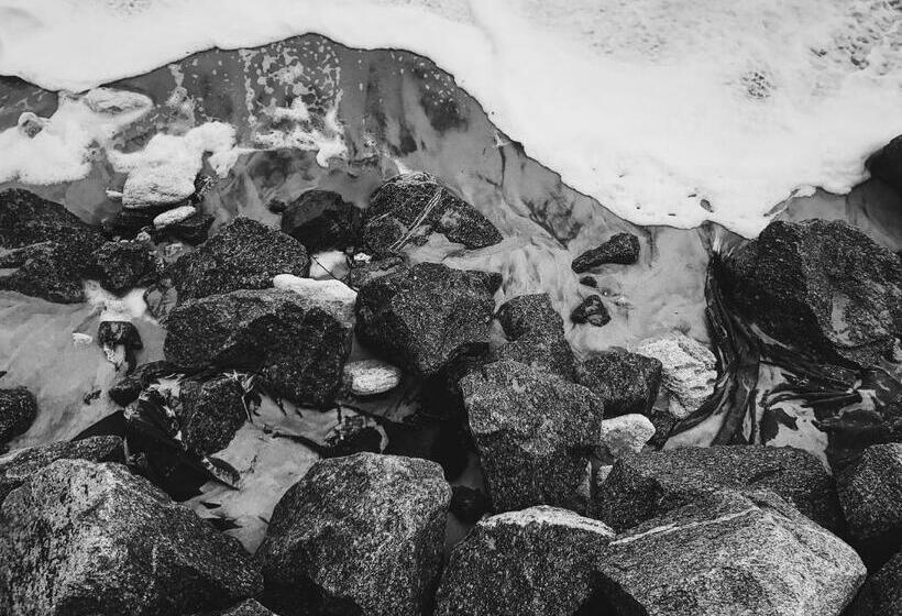 فندق على الطريق A1a Ocean Club