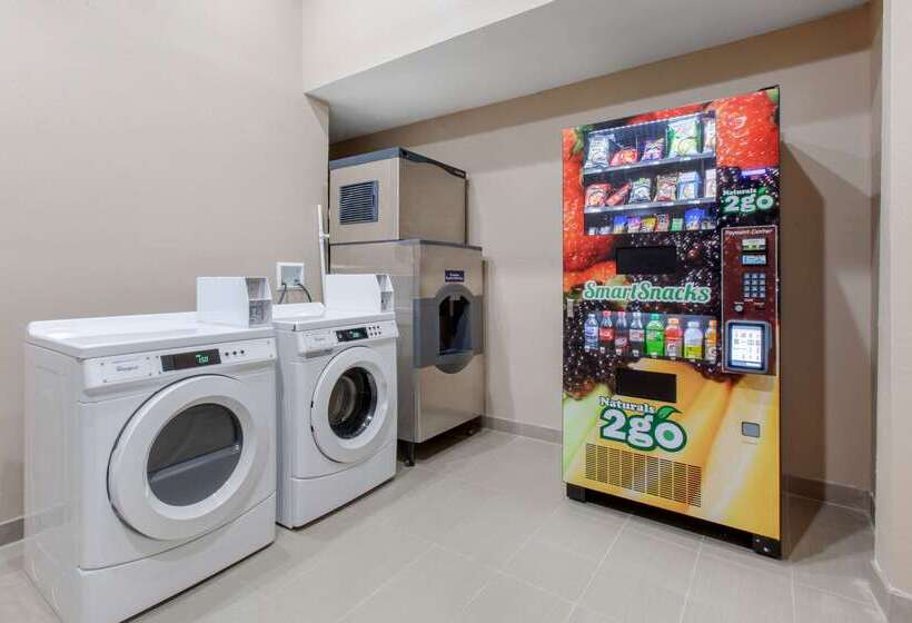 فندق على الطريق Comfort Inn & Suites Pinetop Show Low