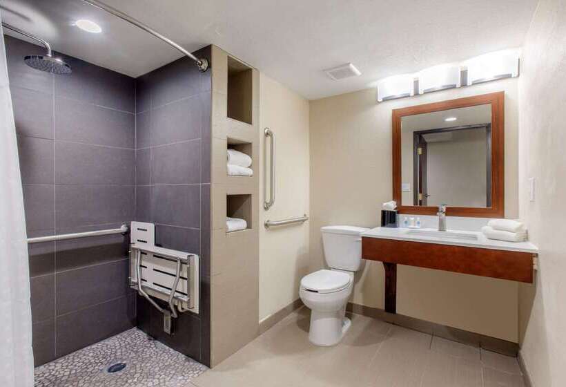 فندق على الطريق Comfort Inn & Suites Pinetop Show Low