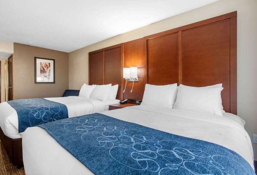 فندق على الطريق Comfort Inn & Suites Pinetop Show Low