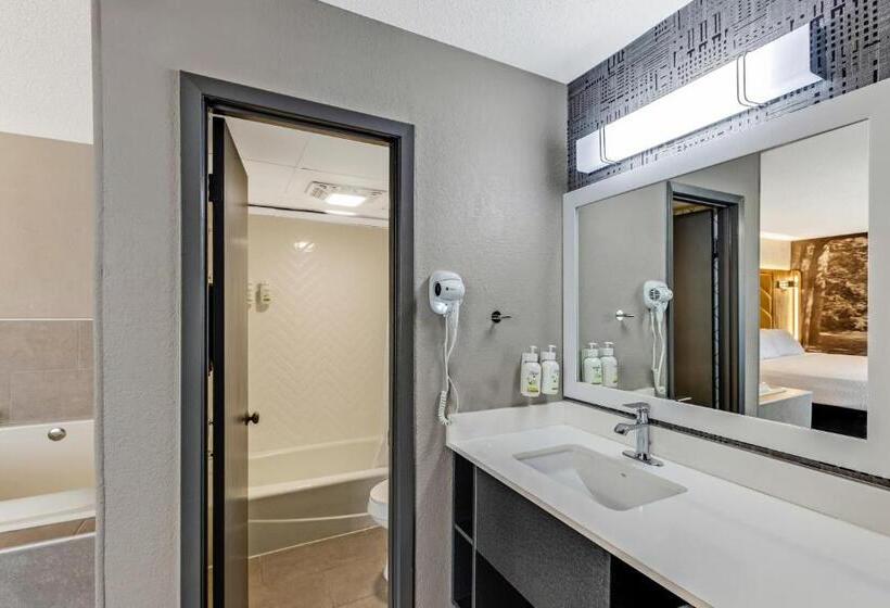 汽车旅馆  The Wander