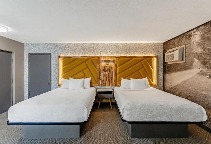 汽车旅馆  The Wander