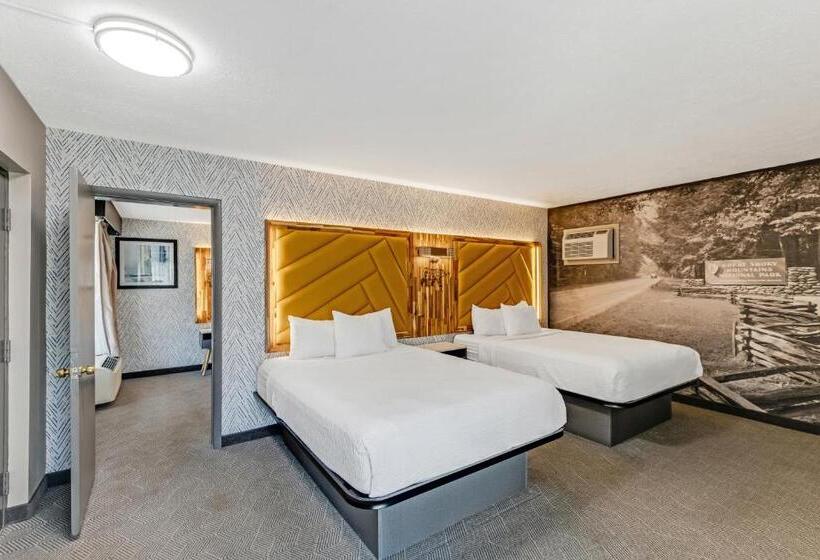 汽车旅馆  The Wander