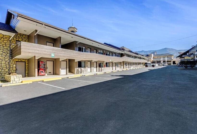 汽车旅馆  The Wander