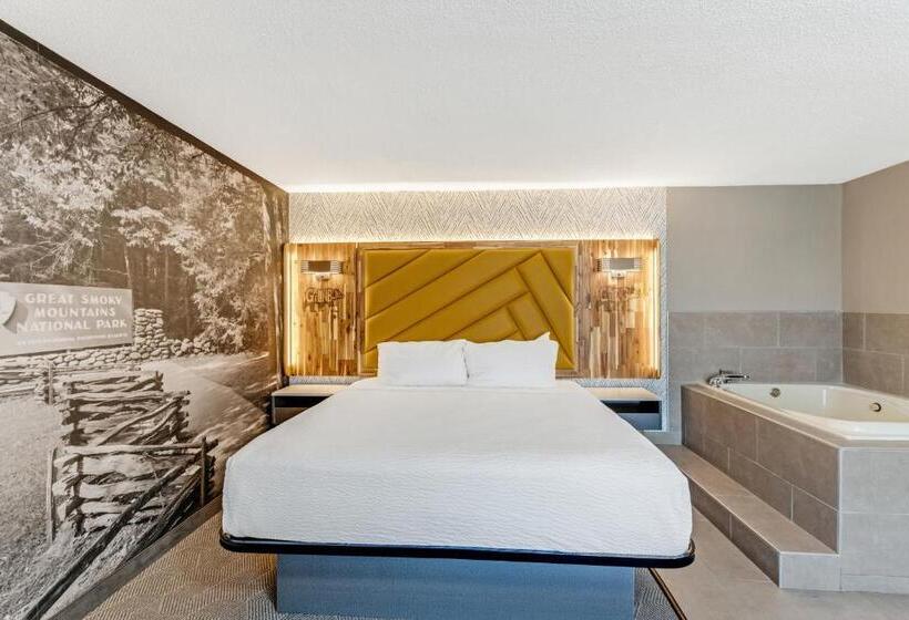 汽车旅馆  The Wander